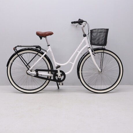 Damcykel