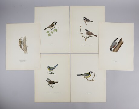Fågeltryck