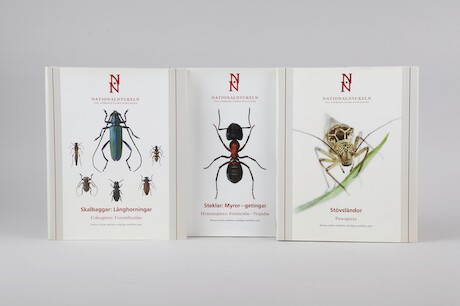 Böcker Nationalnyckeln