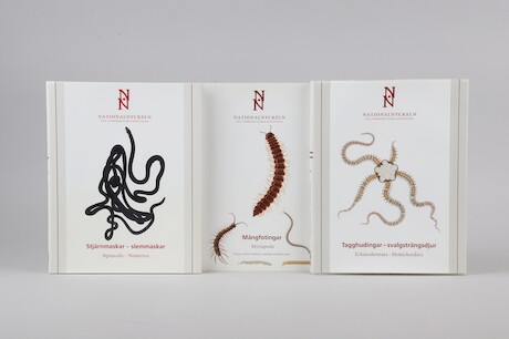 Böcker Nationalnyckeln