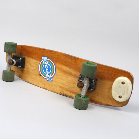 Skatebord