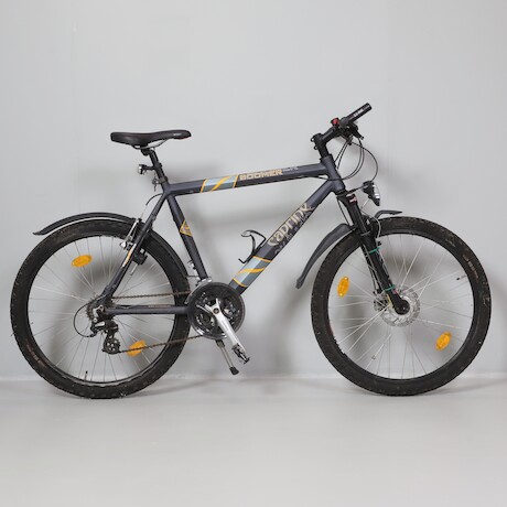 Cykel Caprine Boomer