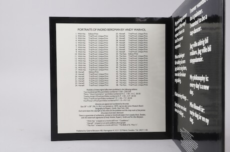 Andy Warhol Portraits