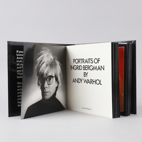 Andy Warhol Portraits