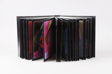 Andy Warhol Portraits