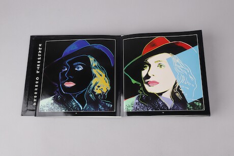 Andy Warhol Portraits