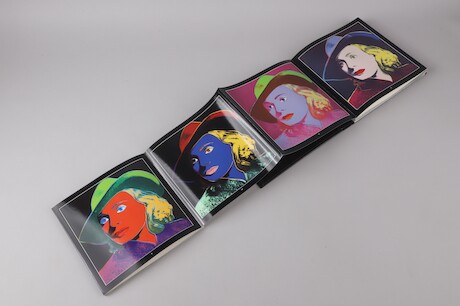 Andy Warhol Portraits