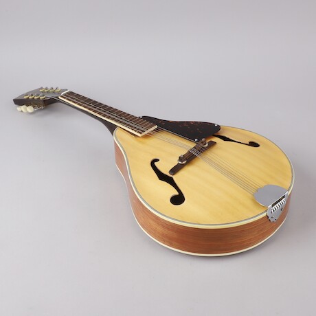 Mandolin