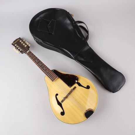 Mandolin