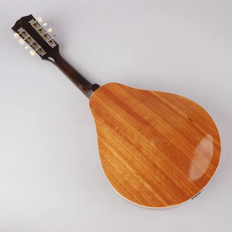 Mandolin