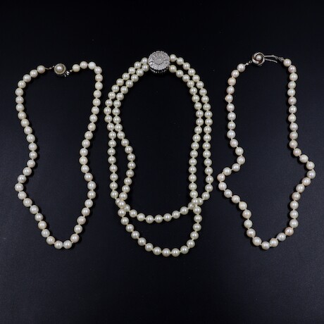 Halsband