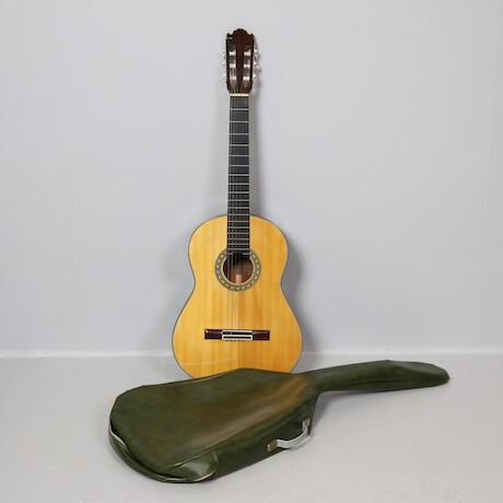 Gitarr Ibanez