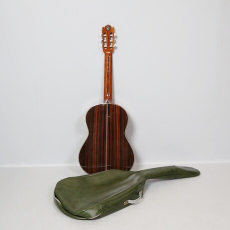 Gitarr Ibanez