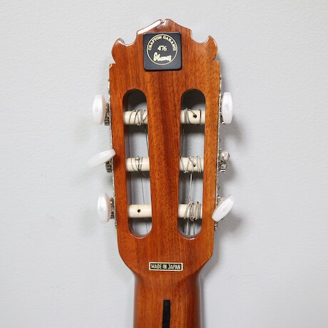 Gitarr Ibanez