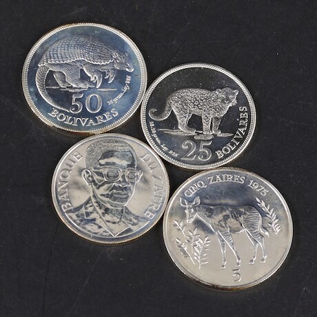 Silvermynt
