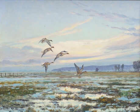 William Gislander